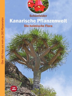cover image of Kanarische Pflanzenwelt